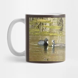 American Coots, birds, wildlife, gifts, mama and babe Mug